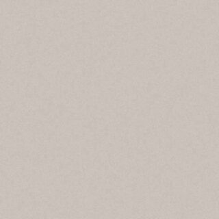 Обои Erismann Tessa 60120-07 Винил на флизелине (1,06*10,05) Бежевый, Однотонные